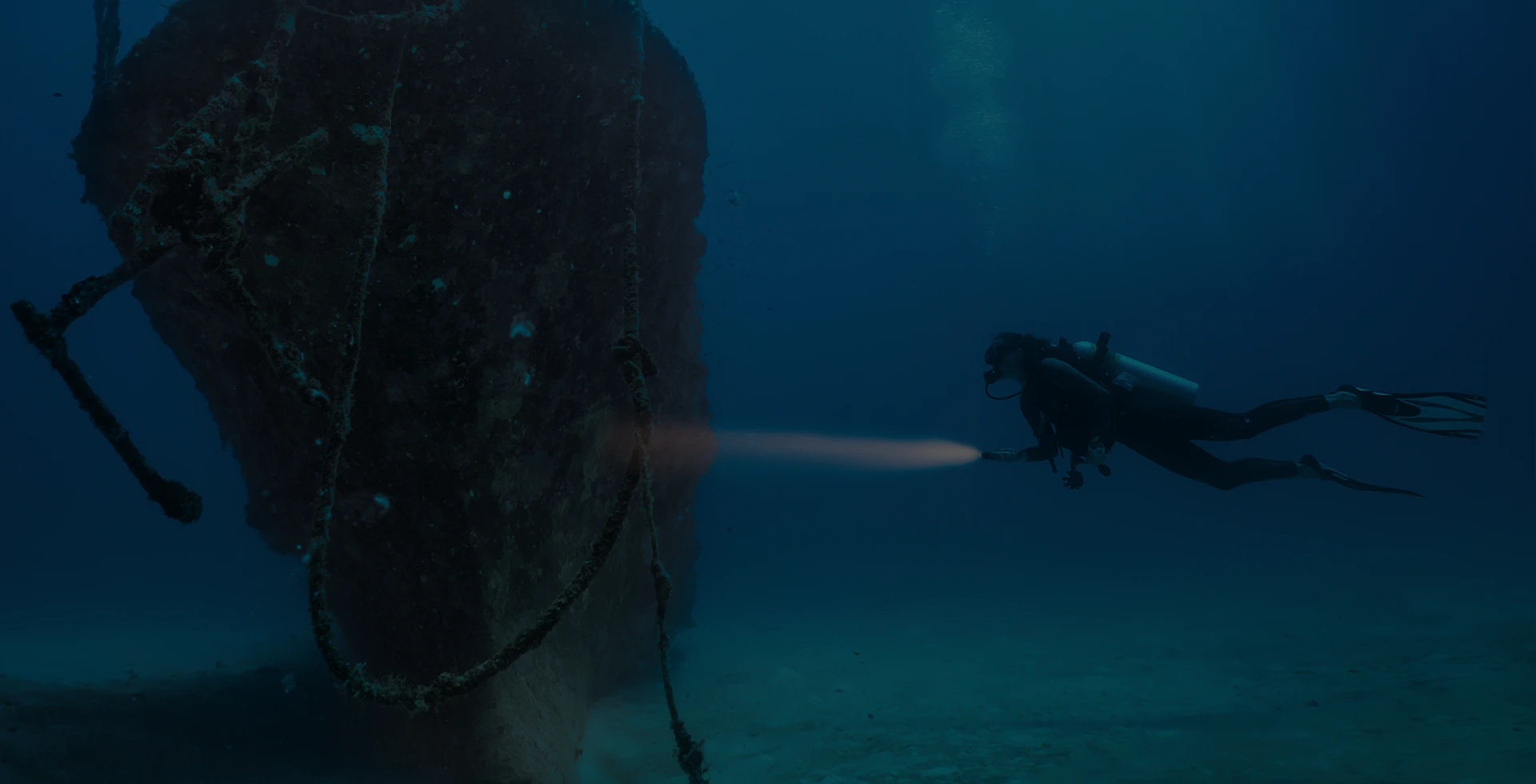 Découvrir la beauté des fonds marins