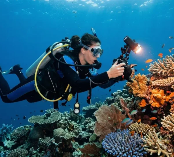 Photographe sous-marin éclairant un récif coloré avec phare vidéo
